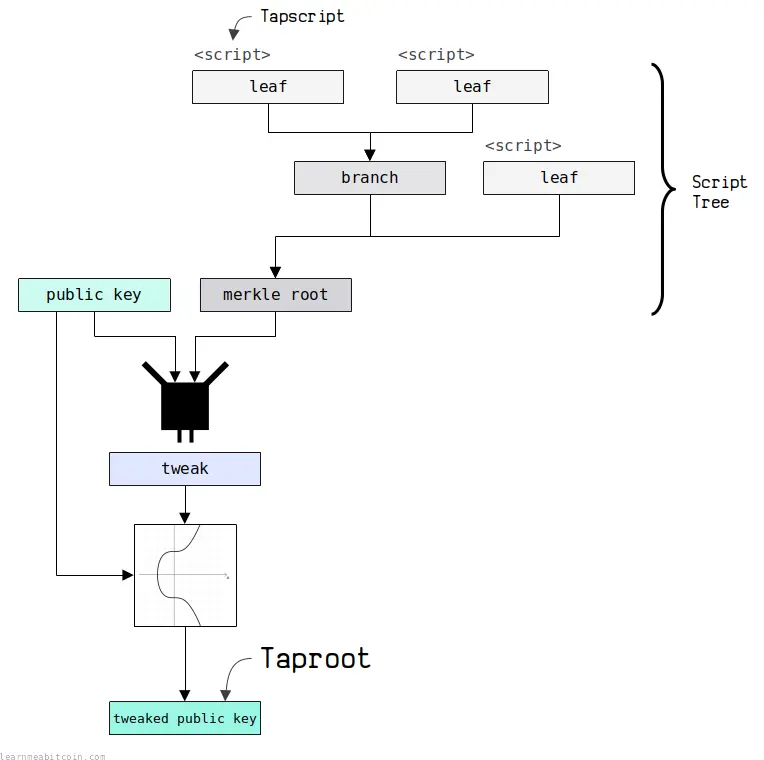 Diagram of how a Taproot output is built: a script tree of leaves and branches reduces to a merkle root, which is combined with a public key to produce a tweak and a final tweaked public key.